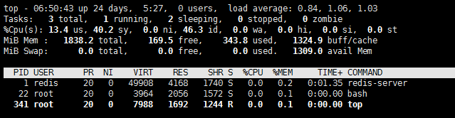 redis-server进程